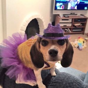 Meet your Posher, Rowan